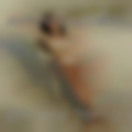 Gallery horny couples