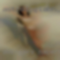 Swingers Naperville